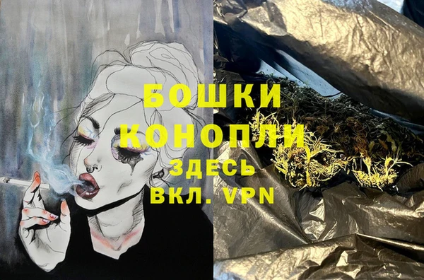 PSILOCYBIN Зеленодольск