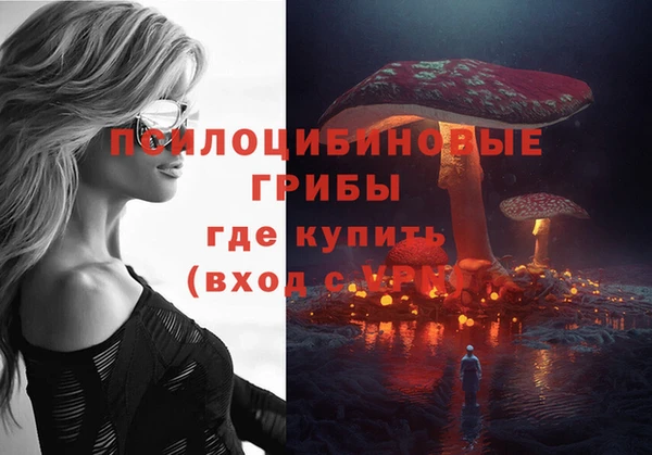 гидропоника Зерноград