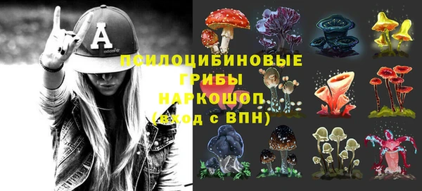 PSILOCYBIN Зеленодольск