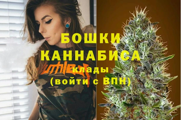 PSILOCYBIN Зеленодольск