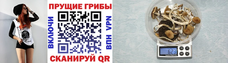 Галлюциногенные грибы Cubensis Кизляр